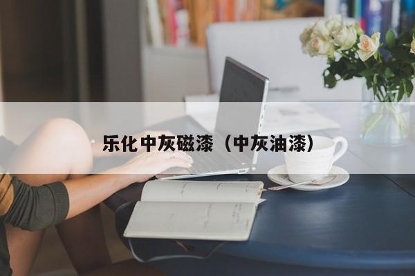 乐化中灰磁漆（中灰油漆）