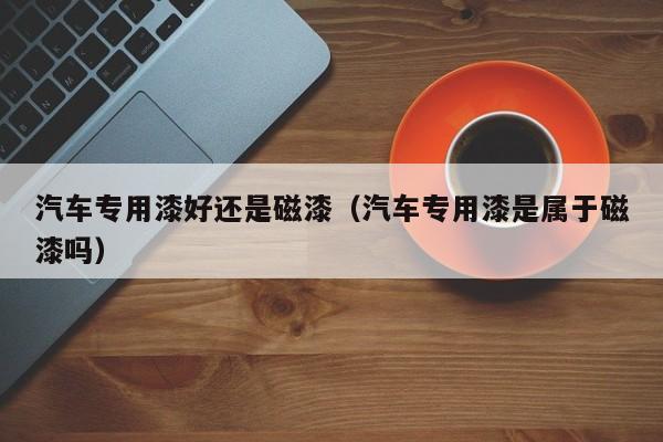 汽车专用漆好还是磁漆（汽车专用漆是属于磁漆吗）