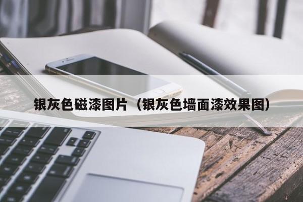 银灰色磁漆图片（银灰色墙面漆效果图）